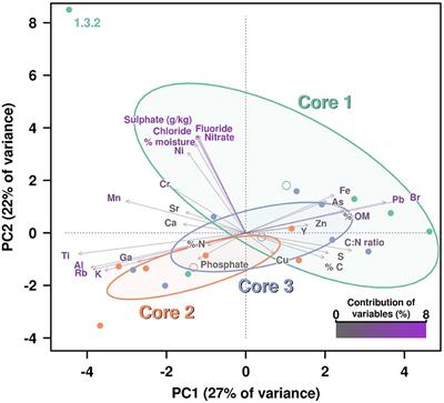 Corrigendum: High Representation of Archaea Across All Depths in Oxic and Low-pH Sediment Layers Underlying an Acidic Stream